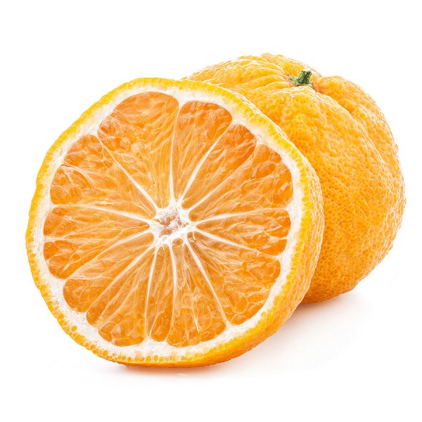 Test Ürün